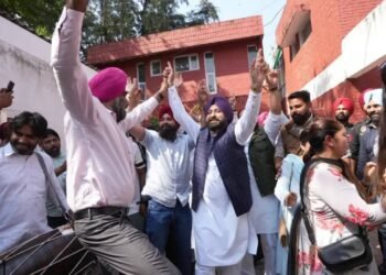 चंडीगढ़ में आप का जश्न गूंजा, अदालत के फैसले के बाद केजरीवाल समेत नेताओं को मिली राहत