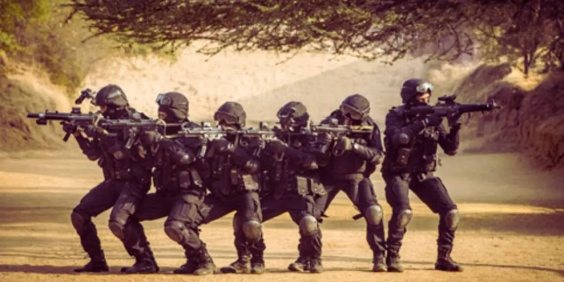 भारत ने पहली एंटी टेरर नीति प्रहार जारी कर ड्रोन और साइबर खतरों के खिलाफ सख्त रणनीति बनाई