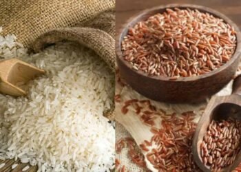 ब्राउन राइस बनाम सफेद चावल: वजन घटाने, पेट पतला रखने और बेहतर सेहत के लिए कौन विकल्प सही