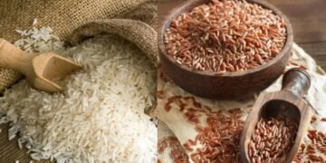 ब्राउन राइस बनाम सफेद चावल: वजन घटाने, पेट पतला रखने और बेहतर सेहत के लिए कौन विकल्प सही