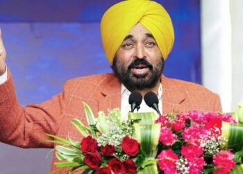 पंजाब की नहर क्रांति: सूखे खेतों तक फिर पहुँचा पानी, खेती को मिली नई जिंदगी