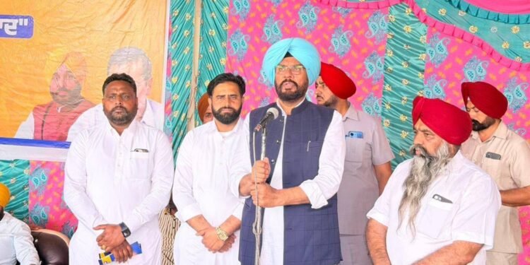 पंजाब में AAP का बड़ा शक्ति प्रदर्शन, माने सरकार के 4 साल पर घर-घर पहुंची उपलब्धियां