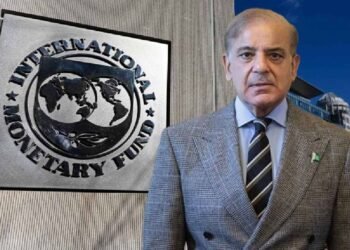 क्या पाकिस्तान खुद को संभाल पाएगा या फिर कर्ज के सहारे चलेगा? आईएमएफ की नई डील ने बढ़ाए बड़े सवाल