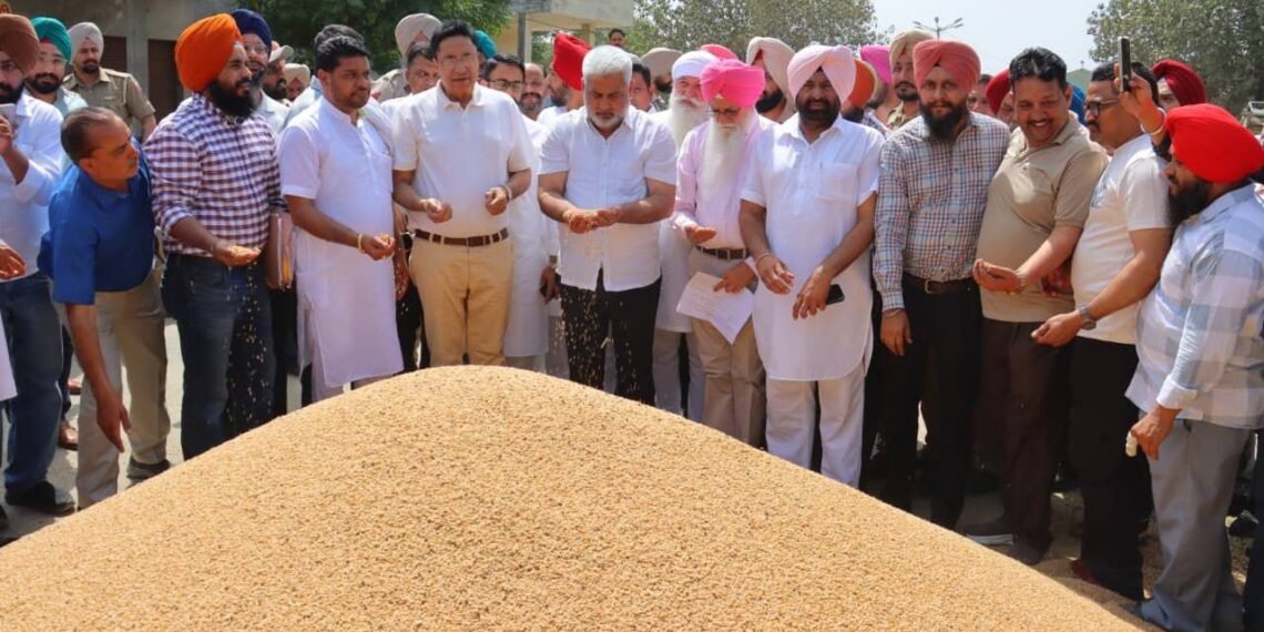 पंजाब में गेहूं खरीद तेज मंत्री ने मंडी पहुंचकर किसानों को भरोसा दिया