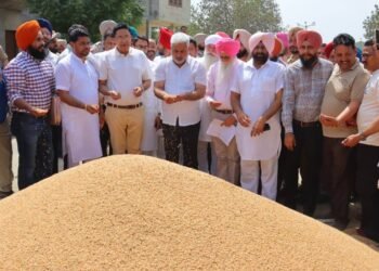 पंजाब में गेहूं खरीद तेज मंत्री ने मंडी पहुंचकर किसानों को भरोसा दिया