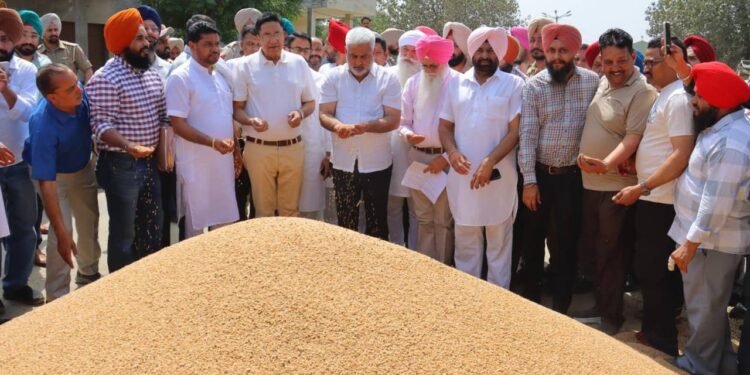 पंजाब में गेहूं खरीद तेज मंत्री ने मंडी पहुंचकर किसानों को भरोसा दिया